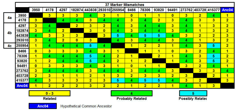 Group 4 - 37 Markers