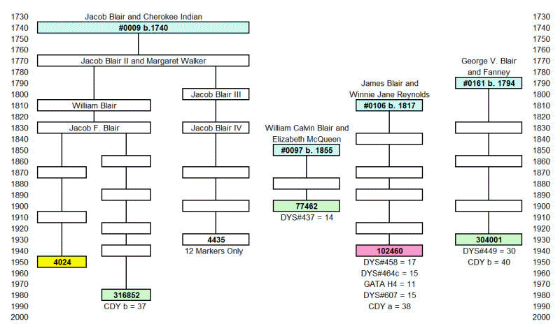 Group 9 Pedigree