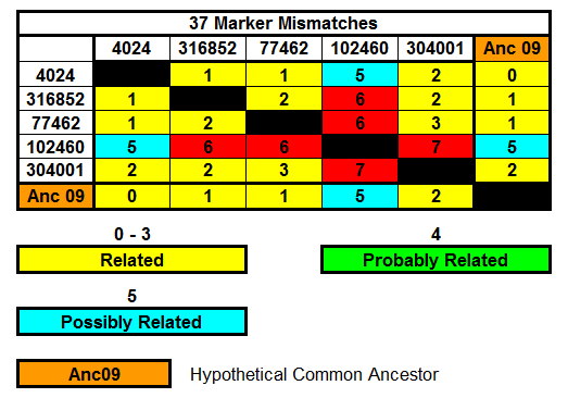 Group 9 - 37 Markers